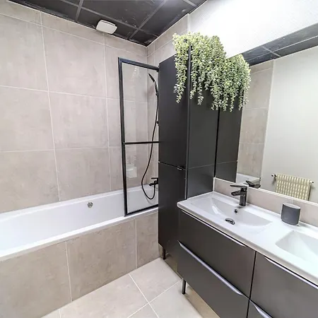The Grenette Spacious Renovated 8 People Cordeliers